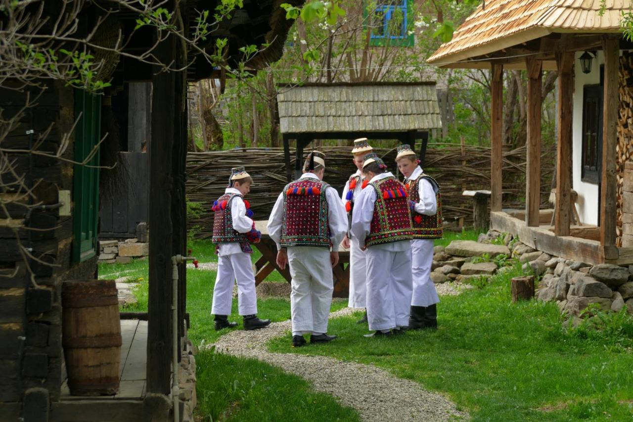 Breb 418, Casa Opris Guest House Екстериор снимка