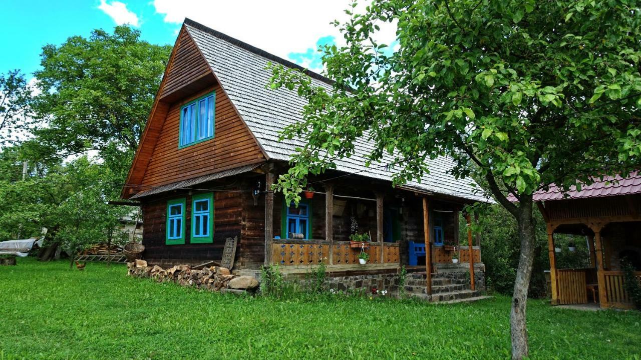 Breb 418, Casa Opris Guest House Екстериор снимка