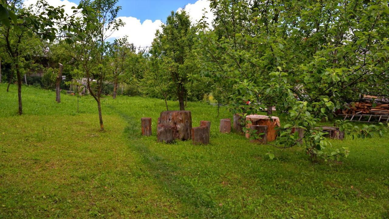 Breb 418, Casa Opris Guest House Екстериор снимка
